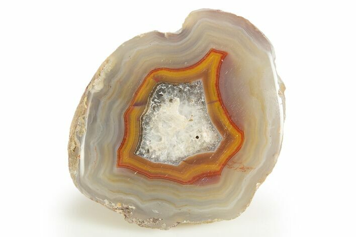 Polished Banded Laguna Agate Half - Mexico #323886